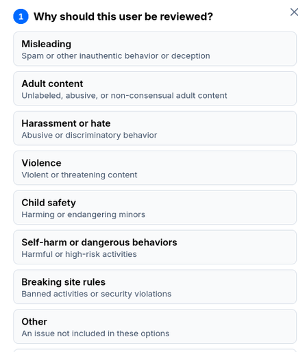 Bluesky reporting screen requires to select an option but how can you choose between "violence", "harassment or hate", "child safety" and "misleading" when talking about ICE?