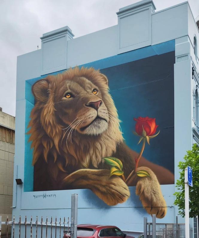Large mural titled “Lion Heart” by SwiftMantis on the side of a pale blue building at 48 Bond Street in Dunedin, New Zealand, painted for Dunedin Street Art. A realistic male lion with a golden mane rests its paws on a ledge, gazing upward with amber eyes, while gently holding a single red rose with green leaves against a smooth blue background; a parked car and metal fence sit at the base of the wall under an overcast sky.