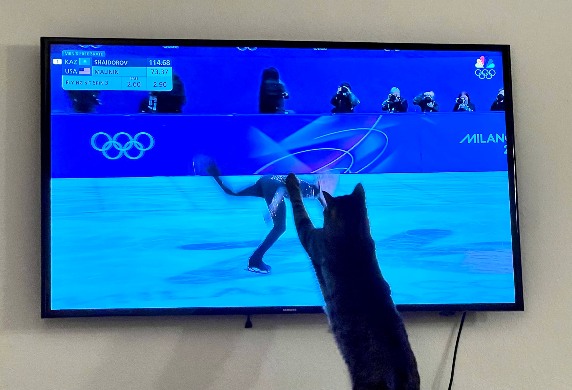 Photo of a cat swiping at a TV showing a flailing Ilia Malinin on a the Olympic skating rink.