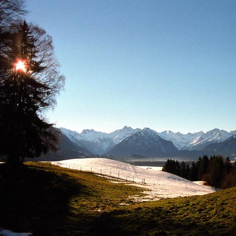 Idyllische Winterlandschaft mit schneebedeckten Hügeln, teilweise von grünem Gras durchzogen. Links ragt eine Baumgruppe in den Vordergrund, durch deren Äste die tiefstehende Sonne scheint und warme Lichtstrahlen erzeugt. Im Hintergrund erhebt sich eine Kette schneebedeckter Berge unter einem klaren, blauen Himmel. Ein Zaun zieht sich über die Hügel und markiert die sanfte Trennung zwischen den offenen Flächen und den Waldstücken im Tal.