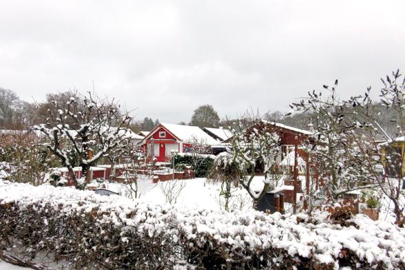 Verschneite Kleingartenanlage mit mehreren kleinen Holzhäusern, darunter ein auffällig rotes Haus mit weiß verschneitem Dach in der Bildmitte. Auch die umliegenden Dächer sind gleichmäßig mit Schnee bedeckt. Im Vordergrund verläuft eine niedrige Hecke, auf der sich eine dicke Schneeschicht abgesetzt hat. Dahinter stehen kleine Obstbäume mit knorrigen, stark zurückgeschnittenen Ästen, die ebenfalls Schnee tragen. Zäune, Rankhilfen und Sträucher strukturieren die einzelnen Parzellen. Der Himmel i…