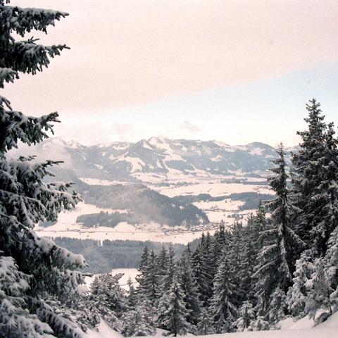 Panoramablick auf eine winterliche Tal- und Berglandschaft. Im Vordergrund rahmen schneebedeckte Tannenbäume die Aussicht ein. Das Tal ist mit verstreuten Häusern und Schneefeldern durchzogen, während sich im Hintergrund sanfte, schneebedeckte Berge erstrecken. Der Himmel zeigt eine Mischung aus blassen Rosatönen und klarem Blau, was eine friedliche Abend- oder Morgenstimmung vermittelt.
