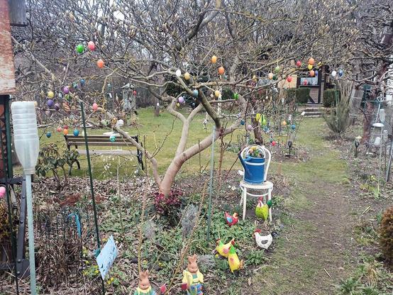 Ein Garten mit einem kleinen Baum in der Mitte, dessen kahle Äste dicht mit bunten, eiförmigen Anhängern geschmückt sind. Die Dekorationen hängen verteilt in verschiedenen Farben zwischen den Zweigen. Unter dem Baum stehen Frühlingsblumen und kleine Zierfiguren, darunter Hasen- und Hühnerdarstellungen. Ein schmaler Grasweg führt durch das Beet. Rechts steht ein heller Stuhl mit einem blauen Eimer darauf, gefüllt mit Pflanzen. Im Hintergrund sind weitere Sträucher, Gartenmöbel und ein kleines Ga…