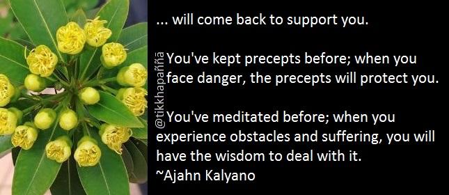 Sorry, no caption provided by author