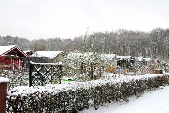 Verschneite Kleingartenanlage mit mehreren kleinen Holzhäusern in unterschiedlichen Farben, deren Dächer von einer gleichmäßigen Schneeschicht bedeckt sind. Im Vordergrund verläuft eine niedrige Hecke, auf der sich dicker Schnee abgelagert hat. Dahinter stehen Zäune, Rankgitter und Sträucher, ebenfalls weiß überzogen. Ein schmaler Weg rechts ist mit Schnee bedeckt. In der Mitte ragt ein kleiner Baum mit dünnen, verschneiten Ästen auf. Im Hintergrund bildet ein dichter, winterlicher Wald mit kah…