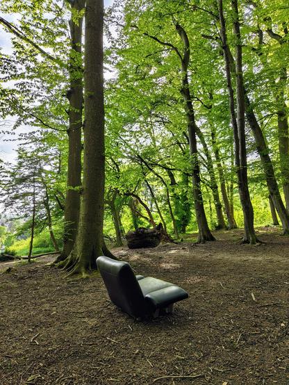 A vertical outdoor shot featuring a dark green, modern leather armchair placed incongruously on a forest floor covered in brown leaves and twigs. In the background, towering deciduous trees with vibrant green spring foliage create a thick canopy, with sunlight filtering through the leaves. A large fallen log sits further back in the clearing, and the ground is uneven with exposed roots.