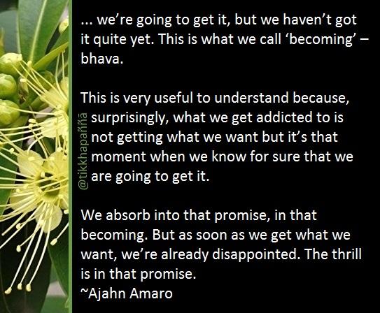 Sorry, no caption provided by author