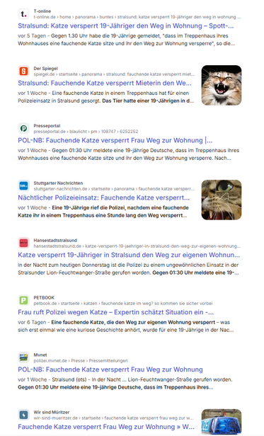 Screenshot mit Google-Ergebnissen zu Berichten über eine fauchende Katze, die in Stralsund den Weg zur Wohnung versperrt.