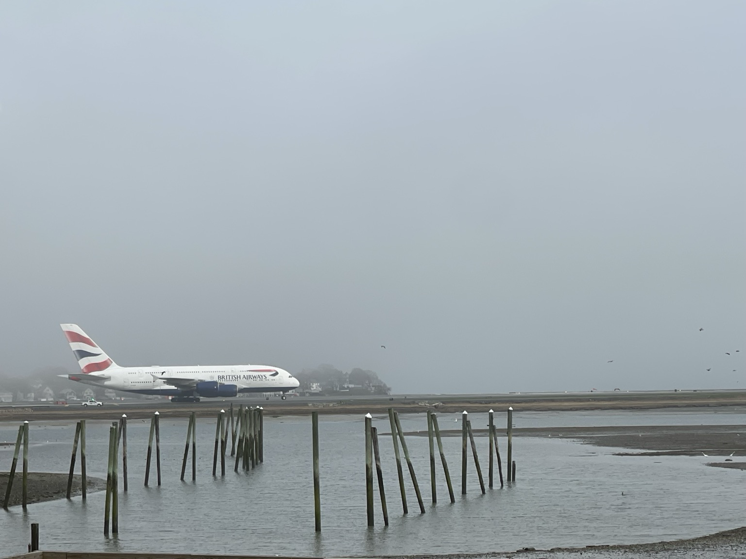 Aviation Librarian (@Aviation_Librarian@mastodon.online)