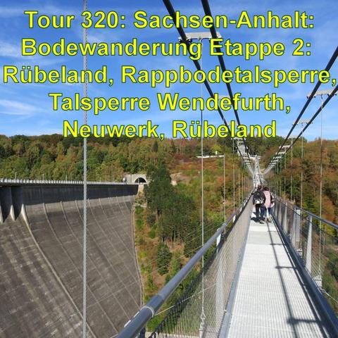 Eine Hängebrücke mit Metallgitterboden überquert eine Staumauer in einer bewaldeten Landschaft. Menschen gehen über die Brücke. Neben der Hängebrücke ist eine Staumauer zusehen und am Ende der Eingang zu einem Autotunnel durch den Berg.