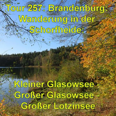 Ein stiller Waldsee umgeben von Bäumen mit herbstlich gefärbtem Laub in Gelb- und Rottönen. Sonnenlicht spiegelt sich auf der Wasseroberfläche und beleuchtet die Szene.