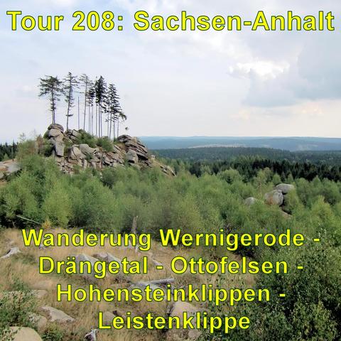 Felsformation mit einer Gruppe hoher Bäume auf der Spitze. Blick über dicht bewaldete Hügel des Harzes unter einem bewölkten Himmel.