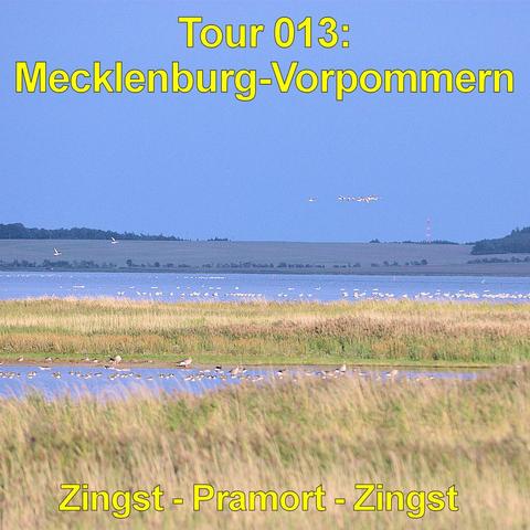 Weite Boddenlandschaft mit flachen Wasserflächen und ausgedehnten Schilfgürteln im Vordergrund. Zahlreiche Vögel stehen im seichten Wasser oder schwimmen in kleinen Gruppen. Einige größere Vögel fliegen in Formation über die Szene hinweg. Dahinter erstrecken sich offene, leicht hügelige Felder bis zum Horizont. Ein schlanker Sendemast ragt in der Ferne auf. Der Himmel wirkt dunkelblau und wolkenreich, während das Licht die Landschaft in kühlen Tönen erscheinen lässt. Die Szenerie zeigt eine ruh…