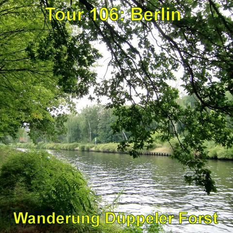 Ein Kanal mit ruhigem Wasser, eingerahmt von grüner Vegetation und Bäumen. Ein Ast mit Blättern im Vordergrund gibt dem Bild einen natürlichen Rahmen. Im Hintergrund ist eine Straße mit Straßenlaternen entlang des Kanals sichtbar.