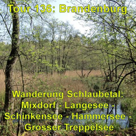 Ein sumpfiges Moor inmitten eines Waldgebiets. Das Wasser reflektiert partiell den Himmel und die umliegenden Bäume. Das Ufer ist mit Schilf und niedriger Vegetation bewachsen, während im Hintergrund höhere Bäume mit frischem Grün zu erkennen sind. Die Sonne scheint durch das Geäst und beleuchtet das Unterholz und das Wasser.