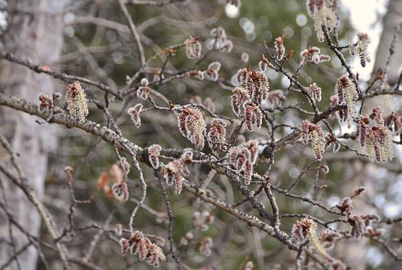 Posted media