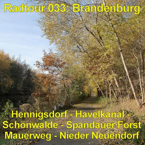 Ein schmaler asphaltierter Weg führt leicht geschwungen durch einen lichten Wald. Rechts und links stehen hohe, schlanke Bäume mit gelb und gold gefärbten Blättern. Einige Blätter liegen verstreut auf dem Weg und am Rand im Gras. Rechts säumen Sträucher und trockenes Unterholz den Weg, links fällt das Gelände leicht ab und ist dichter bewachsen. Sonnenlicht scheint durch die Baumkronen und taucht die Szene in warmes Licht. Der Himmel ist blau und zwischen den Ästen sichtbar. Die Atmosphäre wirk…