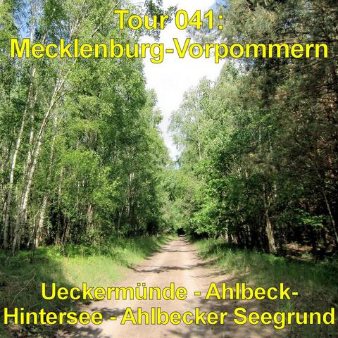 Gerader, unbefestigter Waldweg führt mittig durch dichten Mischwald. Hohe, schlanke Laubbäume mit hellem Stamm stehen links, rechts mischen sich dunklere Nadelbäume darunter. Das frische Grün der Blätter bildet ein lockeres Blätterdach, durch das Sonnenlicht auf den sandigen Weg fällt. Am Wegrand wachsen Gras und niedrige Pflanzen. Der Weg verjüngt sich in der Ferne und verschwindet in einem dunkleren Abschnitt des Waldes. Die Szene wirkt ruhig und naturnah, ohne sichtbare Bebauung.