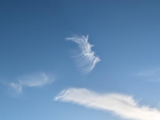 An isolated, delicate white cirrus cloud floats near the center of a deep, clear blue sky. The cloud has a distinct feather-like appearance, with fine, wispy streaks curving downwards and to the left, mimicking the barbs of a quill. Two other faint, wispy cloud formations are visible lower in the frame: a small, subtle patch on the left and a longer, trailing band stretching horizontally across the bottom right corner.