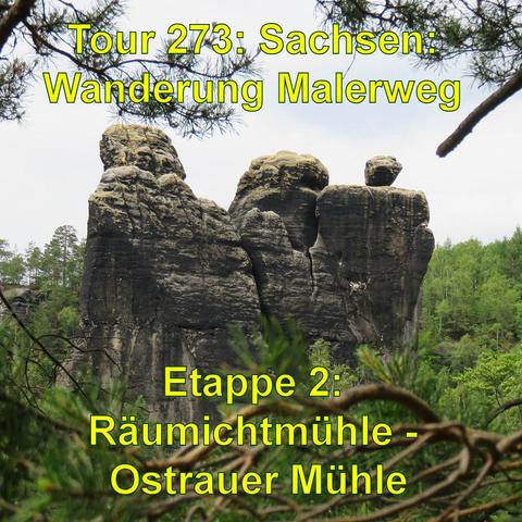 Drei markante Sandsteinfelsen, die hoch in den Himmel ragen, umgeben von Bäumen. Die Felsen sehen aus, als hätten sie Gesichter.