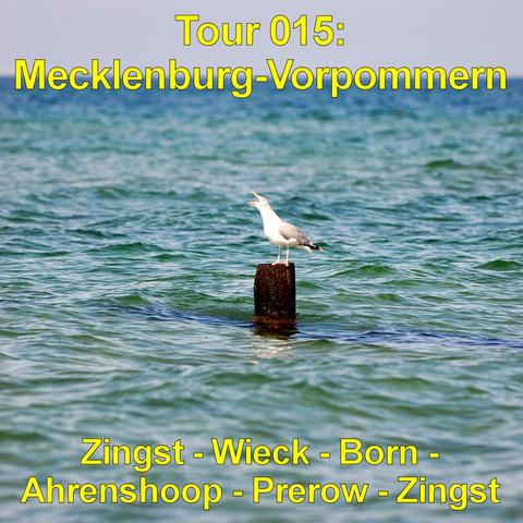 Möwe steht auf einem einzelnen, dunklen Holzpfahl im flachen Meer. Das Gefieder ist weiß mit grauen Flügeln, der Schnabel gelblich. Der Vogel hat den Schnabel geöffnet und wirkt, als würde er rufen. Das Wasser zeigt kleine, bewegte Wellen in grünlich-blauer Färbung. Ein dunkler, unter der Oberfläche verlaufender Balken zeichnet sich im Wasser ab. Der Horizont ist klar erkennbar, darüber spannt sich ein heller Himmel. Die Szene vermittelt eine typische Küstenansicht mit ruhiger, weiter Wasserflä…