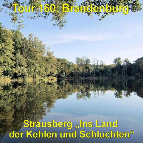 Ruhiger See mit glatter Wasseroberfläche, in der sich die umliegenden Bäume klar spiegeln. Dicht bewaldete Ufer mit hohen Laub- und Nadelbäumen in unterschiedlichen Grüntönen umgeben das Gewässer. Einzelne Äste mit Blättern ragen von oben ins Bild hinein. Der Himmel ist hellblau und nahezu wolkenlos. Am linken Ufer wachsen Schilf und niedrige Sträucher direkt am Wasser. Die Spiegelung der Baumkronen erzeugt eine fast symmetrische Wirkung zwischen Uferlinie und Wasserspiegel. Die Landschaft wirk…