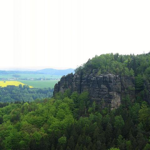 Schroffe Sandsteinfelsklippen mit senkrechten Rissen erheben sich rechts aus dichtem Wald, ihre Oberkanten von vereinzeltem Laubbewuchs gekrönt. Davor bedeckt eine Mischung aus hellgrünen Laub- und dunkleren Nadelbaumkronen den Hang. Links öffnet sich das Tal zu weiten Feldern: ein leuchtend gelbes Rapsfeld neben sattgrünem Getreide, hinter dem einige Häuser am Talrand stehen. Sanfte Hügelzüge zeichnen sich am Horizont ab, darüber spannt ein blassblauer, nahezu wolkenloser Himmel.