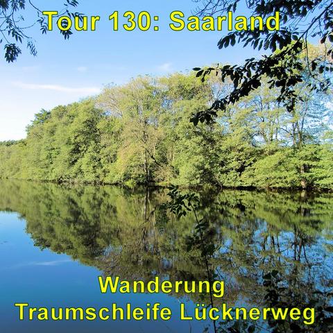 Der Geisweiler Weiher mit spiegelglatter Oberfläche, an dessen Rand Bäume stehen, deren Blätterwerk sich im Wasser reflektiert. Die Vegetation ist üppig und zeigt verschiedene Grüntöne. Einige Blätter am oberen Bildrand ragen ins Bild und ergänzen das natürliche Motiv. Der Himmel ist klar und überwiegend wolkenfrei.