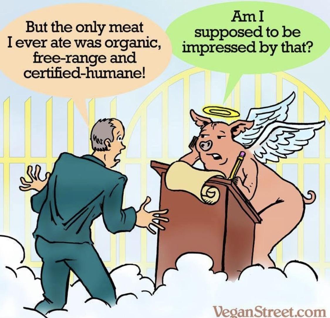 Posted media