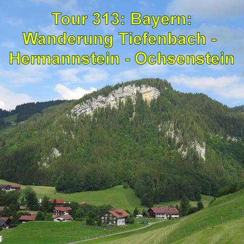 Ein idyllisches Alpenpanorama mit einem kleinen Dorf im Tal. Die traditionellen Häuser mit dunklen Holzfassaden und roten Dächern liegen eingebettet in sattgrüne Wiesen. Hinter dem Dorf erheben sich dichte Wälder, die die unteren Hänge eines eindrucksvollen Berges bedecken. Die Spitzen des Berges bestehen aus nacktem, felsigem Kalkstein. Der Himmel ist teilweise bewölkt, aber größtenteils klar und blau, was auf schönes Wetter hindeutet. Die Szene strahlt Ruhe und die Schönheit der natürlichen B…