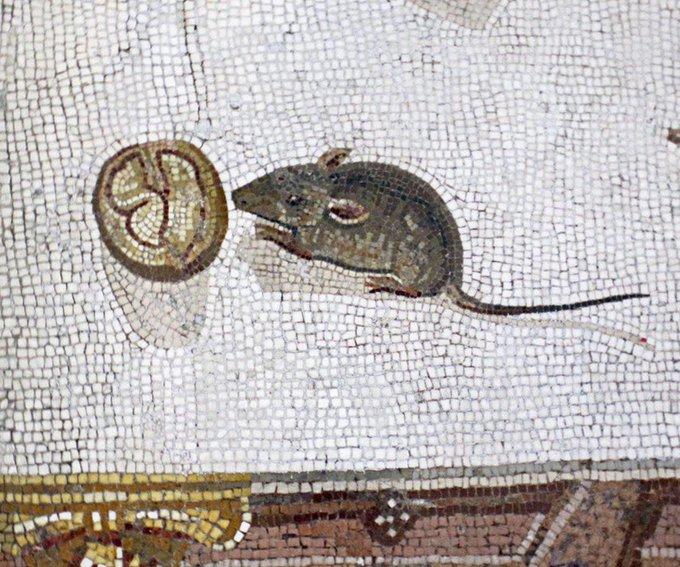 Roman mosaic of a little mouse eating a nut; Vatican Museums. Dated back to reign of Hadrian 117-138 A.D.