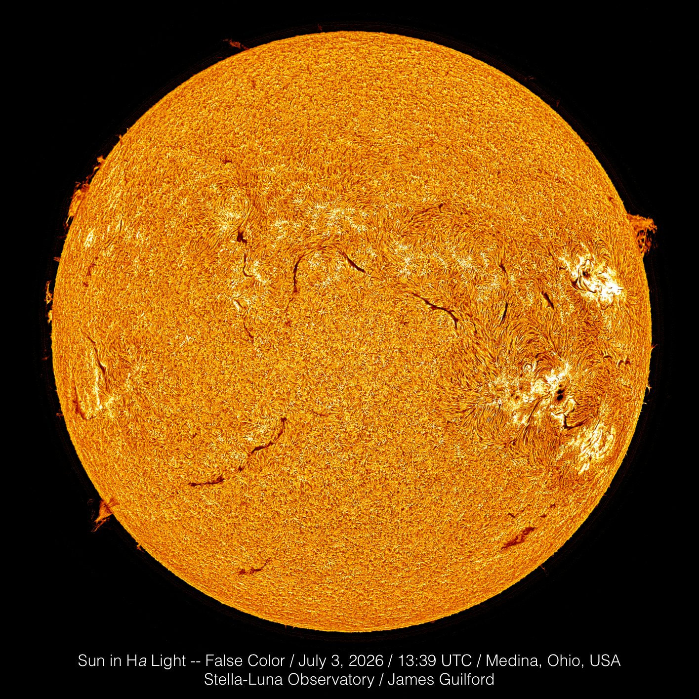 A full-disk view of the sun, captured in hydrogen-alpha light. Several filaments are scattered across the body, some impressive prominences project from around the rim, especially at about the two-thirty position, and large areas of disruption are visible in the solar plasma in the areas of strong active regions. The large sunspot with a split umbra is readily visible in this chromospheric image, where sunspots often cannot be seen. July 3, 2026. Image recorded in monochrome; false color added here.