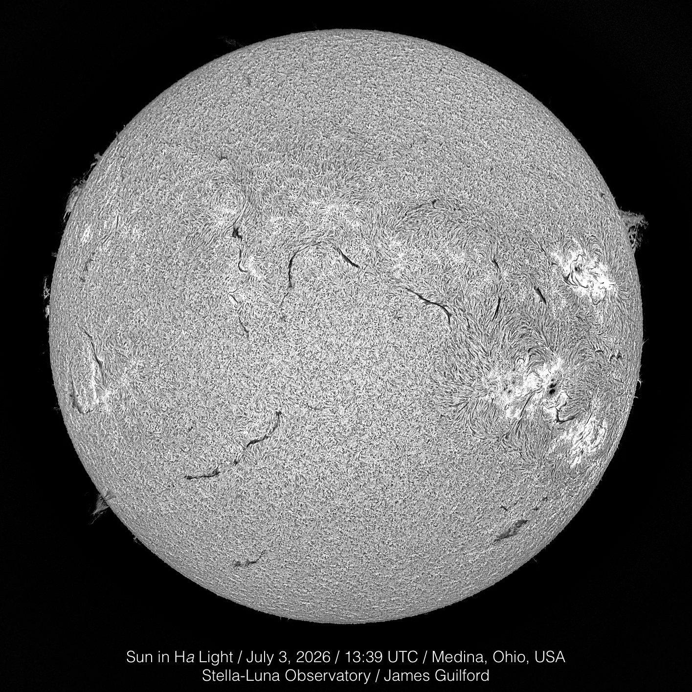 A full-disk view of the sun, captured in hydrogen-alpha light. Several filaments are scattered across the body, some impressive prominences project from around the rim, especially at about the two-thirty position, and large areas of disruption are visible in the solar plasma in the areas of strong active regions. The large sunspot with a split umbra is readily visible in this chromospheric image, where sunspots often cannot be seen. July 3, 2026. This is the monochrome version of the previous image.