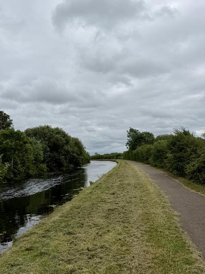 Posted media