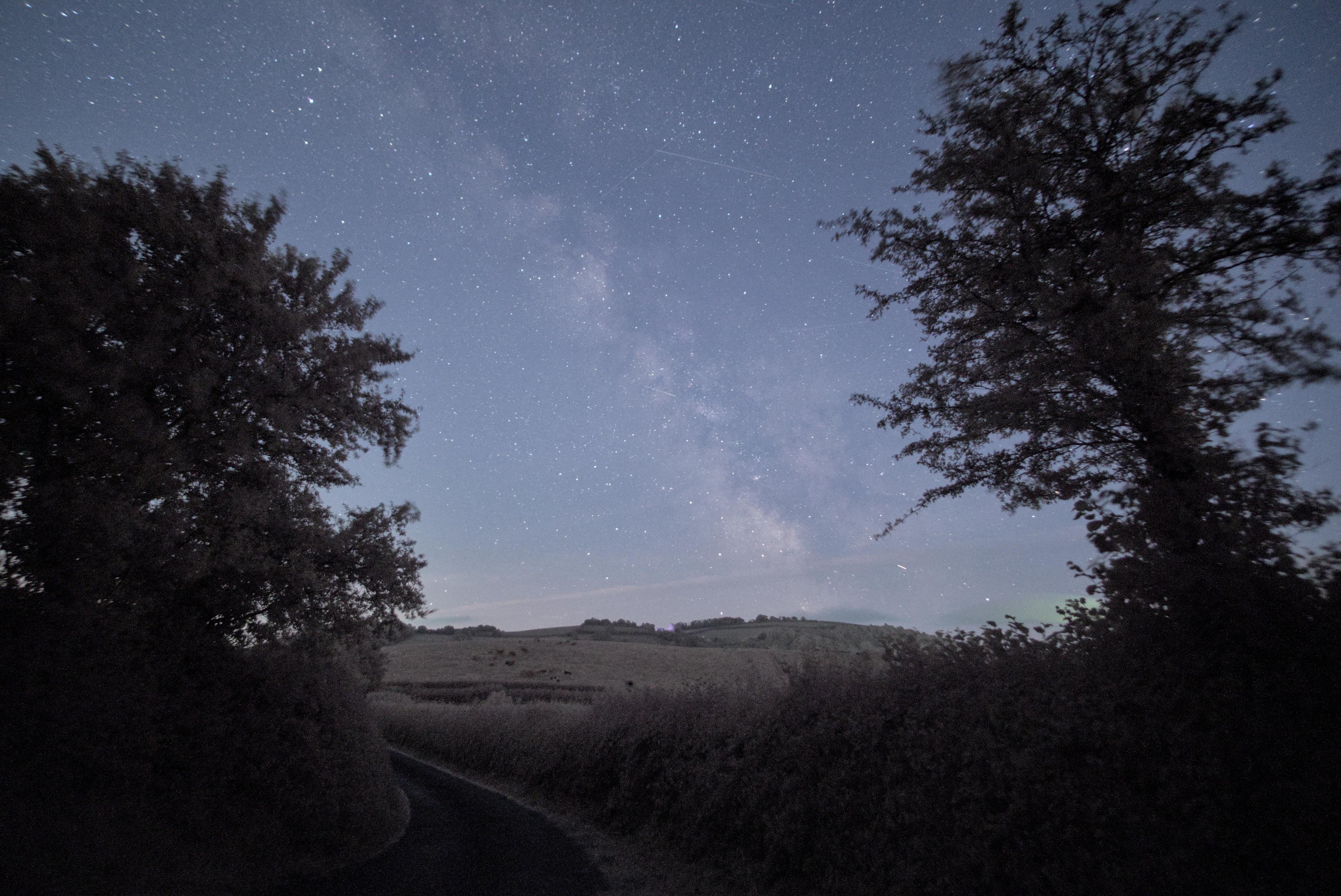 Night landscape photograph. A road in the foreground goes away from the view and disappears behind hedgerow as it curves to the left. Large, and close trees frame the view on the left and right, rolling fields in the distance. The sky is clear, appearing light blue-ish from the twilight. The Milky way divides the frame diagonally stretching from the top left to the bottom right. The 'teapot' asterism of Sagittarius is centered, just above the horizon.