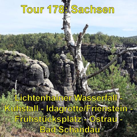 Blick auf eine beeindruckende Felsformation aus massivem Sandstein, die von dichter Vegetation umgeben ist. Die Felsen sind hoch und zerklüftet, mit einigen kleinen Bäumen und Sträuchern, die auf den Felsvorsprüngen wachsen. Im Vordergrund steht ein markanter, weißer Birkenstamm mit abgebrochenen Ästen, umgeben von grünen Kiefern und anderen Bäumen. Der Hintergrund zeigt einen dichten Wald, der sich bis zum Horizont erstreckt.