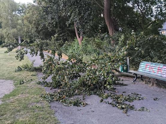 Ein großer abgebrochener Ast mit dichtem grünem Laub liegt quer über einem befestigten Fuß- oder Radweg und versperrt den Durchgang weitgehend. Rund um den Ast sind zahlreiche kleinere Zweige und Blätter auf dem Boden verteilt. Rechts steht eine Parkbank mit bunter Bemalung, dahinter dichter Bewuchs aus Sträuchern und hohen Bäumen. Links verläuft eine Rasenfläche entlang des Weges. Im Hintergrund setzt sich der von Bäumen gesäumte Weg fort.