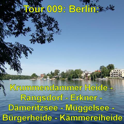 Ein malerischer See mit ruhigem, blauem Wasser, umgeben von Bäumen und vereinzelten Gebäuden am Ufer. Kleine Segelboote sind in der Ferne zu sehen, während die Uferpromenade von grünen Bäumen gesäumt ist. Der Himmel ist klar und sonnig, was eine friedliche und entspannte Atmosphäre schafft. Die Äste eines Baumes im Vordergrund rahmen das Bild ein, und die Szene wirkt wie ein perfekter Sommertag in einer naturnahen Umgebung.