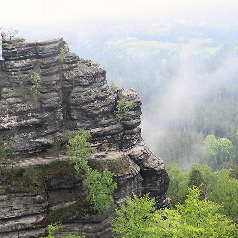 Eine imposante, graue Felsformation mit mehreren senkrechten Schichten erhebt sich über einen dichten Mischwald. An der Felswand verläuft ein schmaler, gesicherter Weg mit Geländer, der sich um die Kontur des Felsens schlängelt. Einige Bäume und Sträucher wachsen direkt aus Felsspalten. Im Hintergrund steigt leichter Nebel oder Dunst aus dem Wald auf und verschleiert teilweise die Fernsicht. Die Atmosphäre wirkt feucht und leicht mystisch.