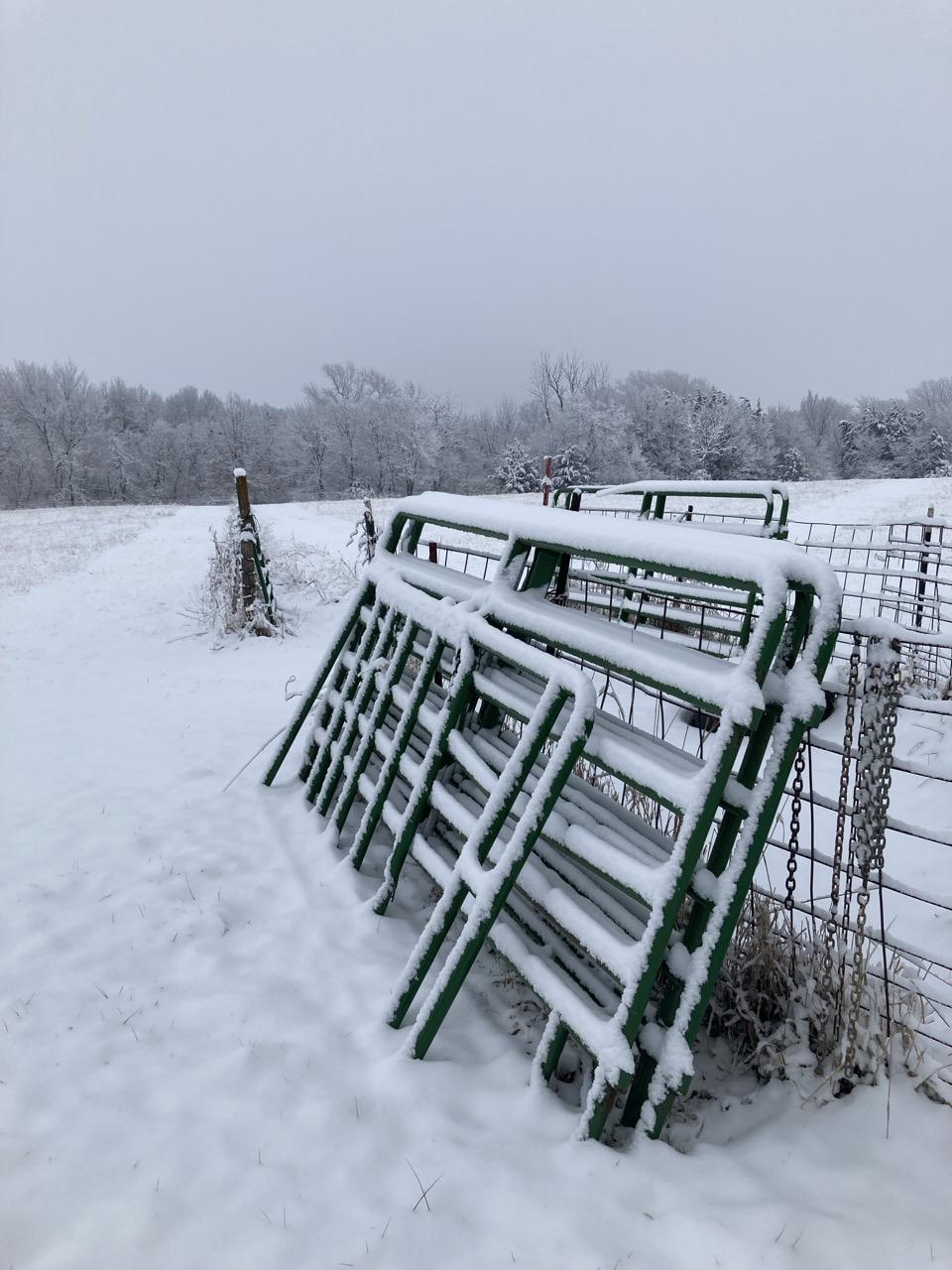 January 2023. A very snowy day. The extra corral panels that are leaning against the pen have white snow piling up on the green metal bars.