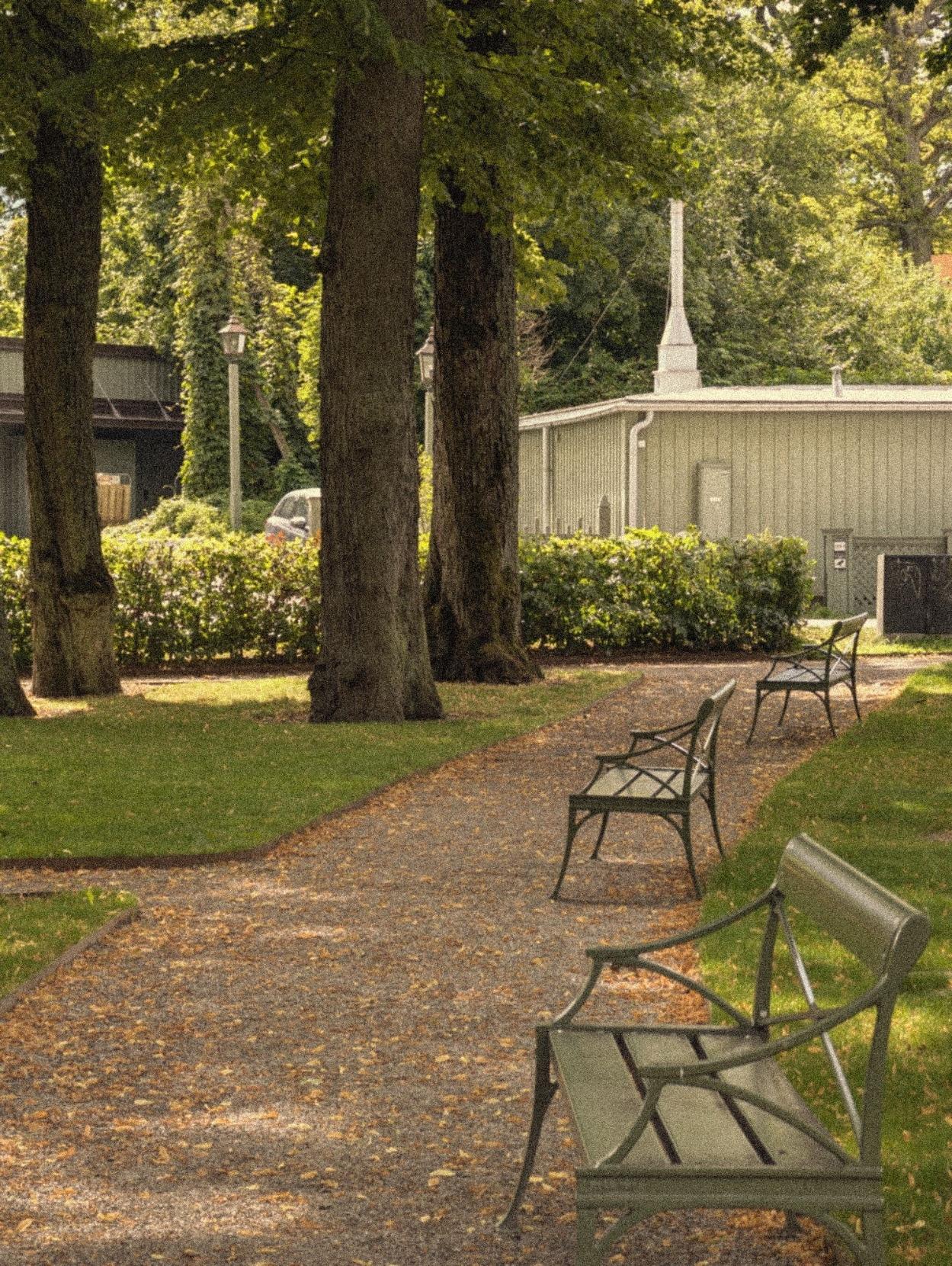 A grainy color photo of a gravel path on a lawn. On the path are three green wooden benches. Tall trees standing on the lawn bring a shaded and calm atmosphere.