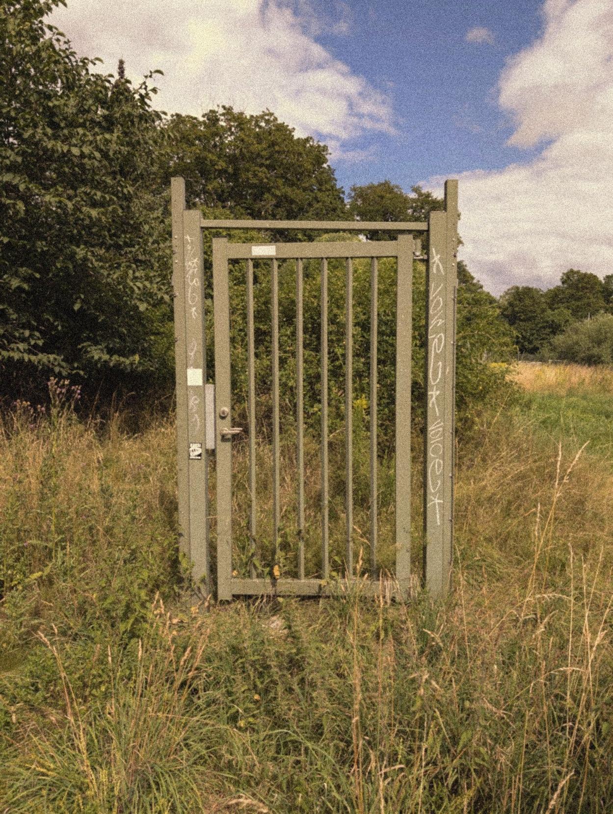 A grainy color photo of a green metal security gate standing in the middle of tall grass. There's no fence or anything connected to the gate, you can just walk past it.