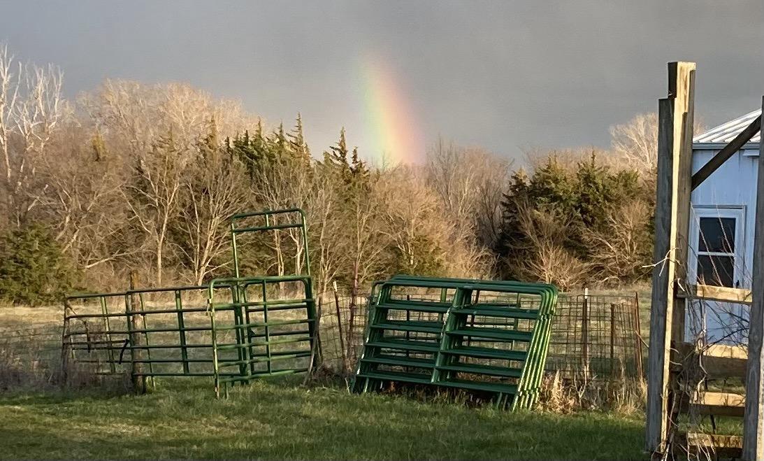 April 2024. An intense but very short section of rainbow is seen above the woods on the far side of the pasture.  In the foreground, the area to the left of the white building is cluttered up with the livestock pen made of wire panels and green corral panels.