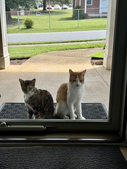 Posted media
