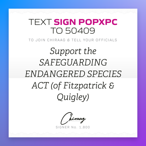 Text "Sign POPXPC" to 50409 to join Chiraag & tell your officials: Support the "Safeguarding endangered species act" (of Fitzpatrick & Quigley)