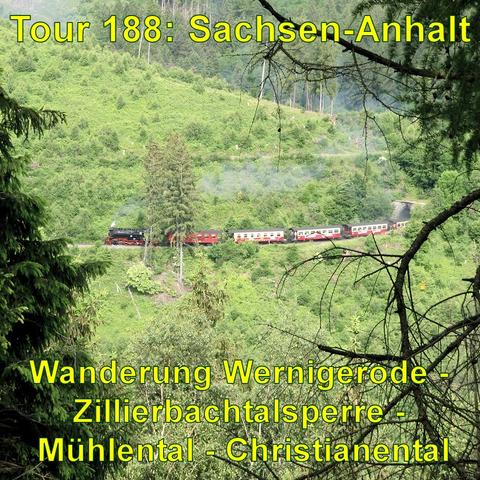Die Brockenbahn, ein roter Dampfzug, schlängelt sich an einem grünen Hang entlang, gesehen durch einen natürliche Rahmen aus Nadelbaumzweigen von der gegenüberliegenden Talseite.