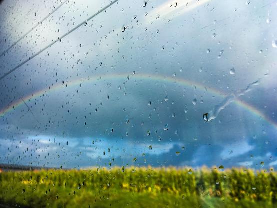 A close-up perspective looking out through a window covered in water droplets and rain streaks. In the background, a complete rainbow arches across a dramatic, dark blue overcast sky. Below the horizon, a bright green field stretches across the bottom of the frame, contrasting with the stormy weather. Power lines run diagonally across the upper left corner of the glass pane.