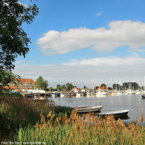 Hafen mit zahlreichen Segelbooten und kleinen Motorbooten, die an Stegen festgemacht sind. Im Vordergrund wächst dichtes Schilf am Ufer, einige Boote liegen im Wasser nahe beim Schilfgürtel. Im Hintergrund stehen Gebäude mit roten Dächern und Bäume. Der Himmel ist teils bewölkt, teils blau mit Sonnenschein.