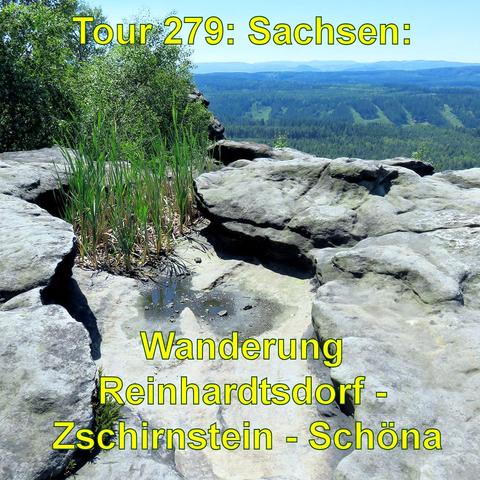 Auf einem Sandsteinfelsen befindet sich eine kleine, teilweise mit Wasser gefüllte Mulde, umgeben von Schilfgräsern. Der Felsen hat eine raue Oberfläche und grenzt an einen Abgrund mit Ausblick auf eine weite, waldreiche Landschaft. Der Himmel ist klar und wolkenlos.