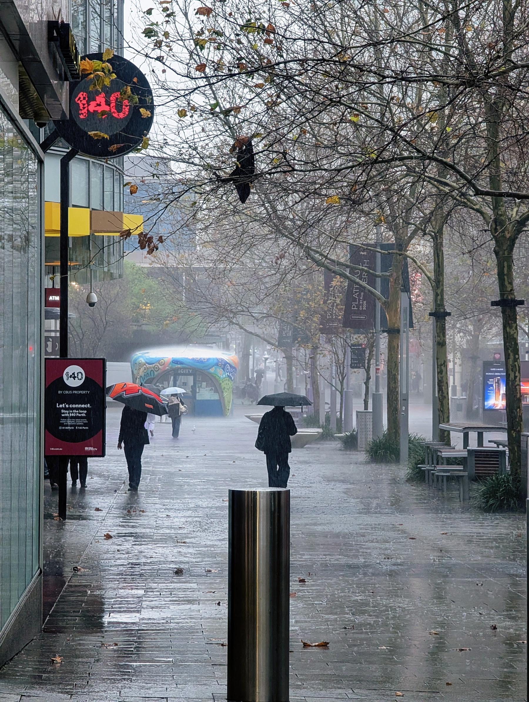 Auto-generated description: Several people walking with umbrellas on a rainy, tree-lined urban street with storefronts and benches.